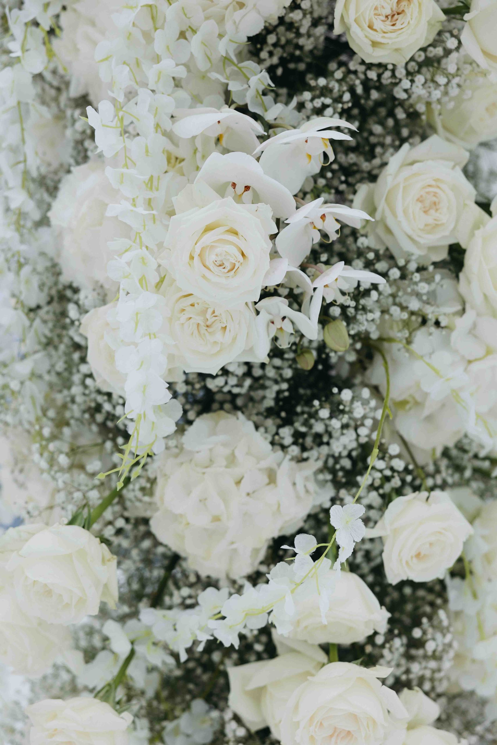 untitled (241 of 455) copy